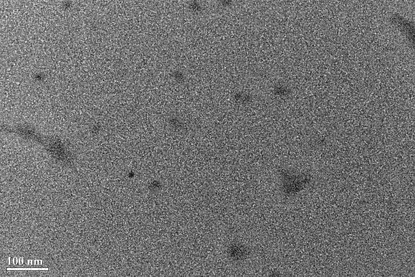 Preparation method of nitrogenous graphene quantum dot composite particles with controlled structure and fluorescence