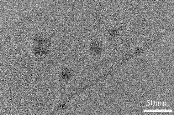 Preparation method of nitrogenous graphene quantum dot composite particles with controlled structure and fluorescence