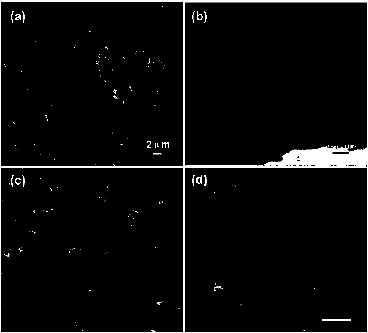 Application of anti-corrosion electrode in improving the selectivity and yield of organic electrosynthesis reaction