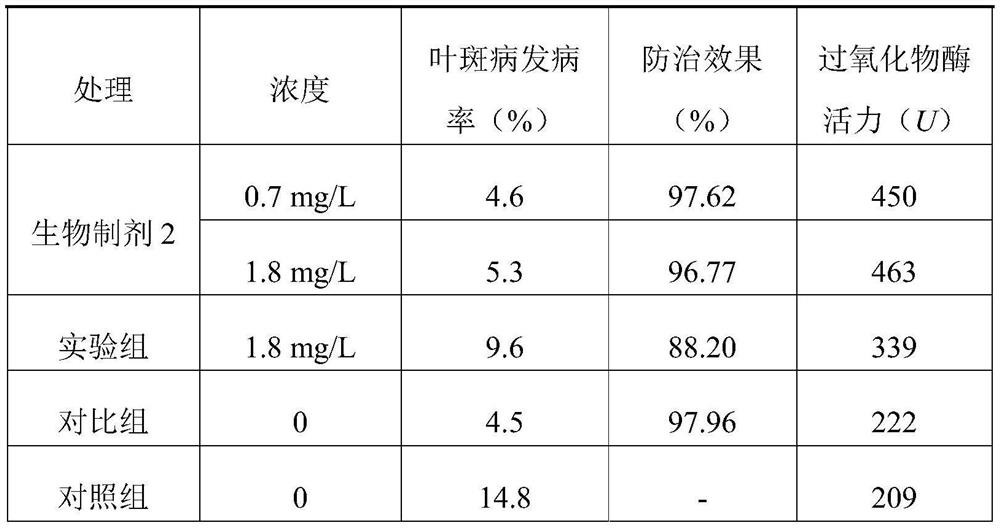 Biological preparation for inducing plants to prevent and treat fungal diseases and preparation method and application thereof