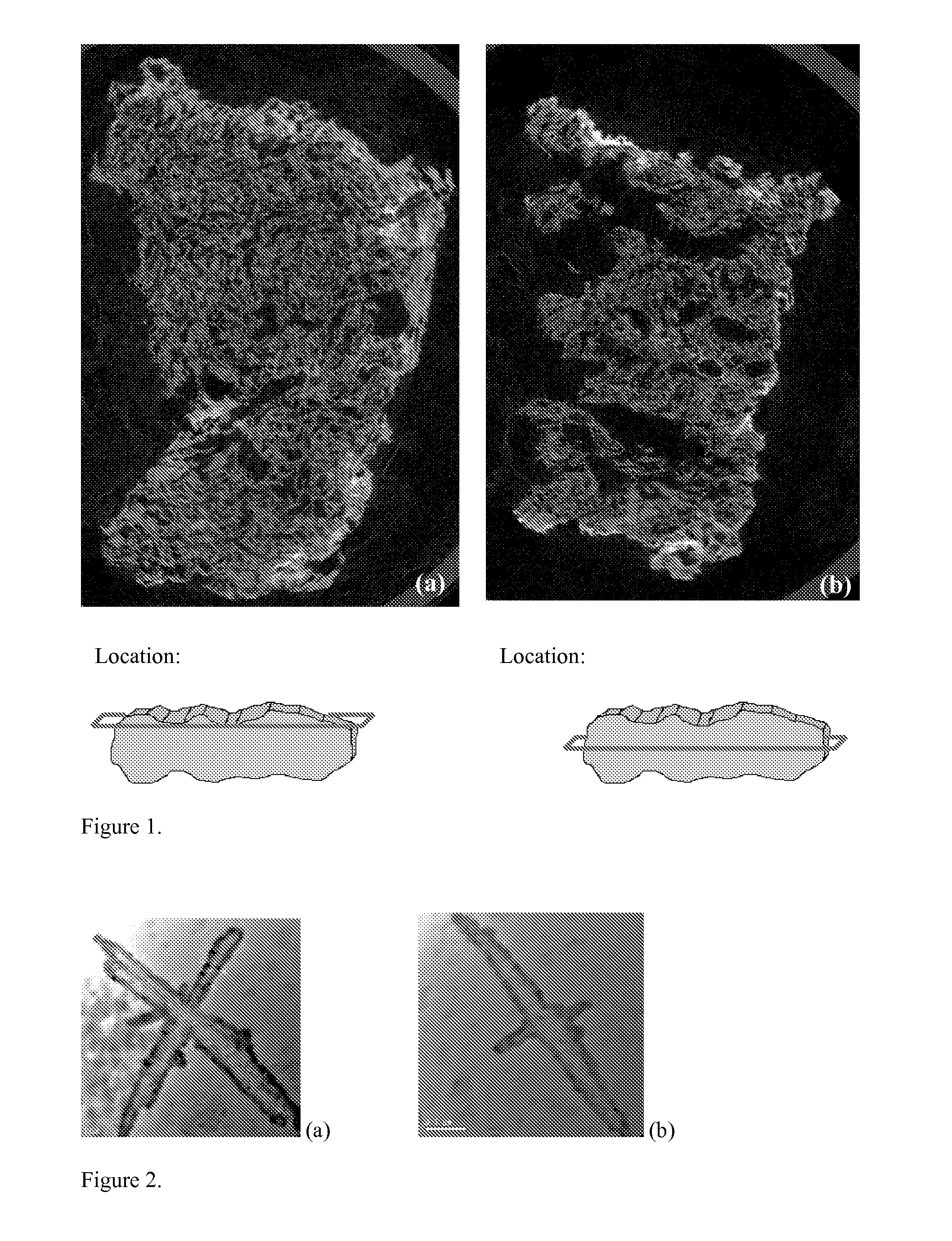 Biomimetic Hydroxyapatite Composite Materials and Methods for the Preparation Thereof