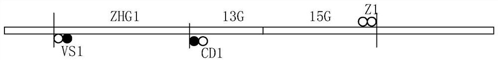 Signal machine opening method for SPKS unblocking