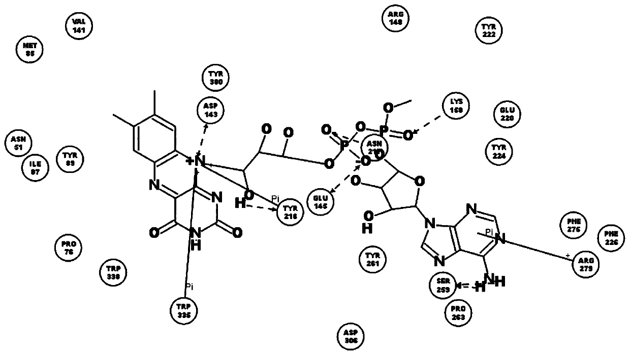 Crosslinking hyaluronic acid gel resisting hydrolysis of hyaluronidase