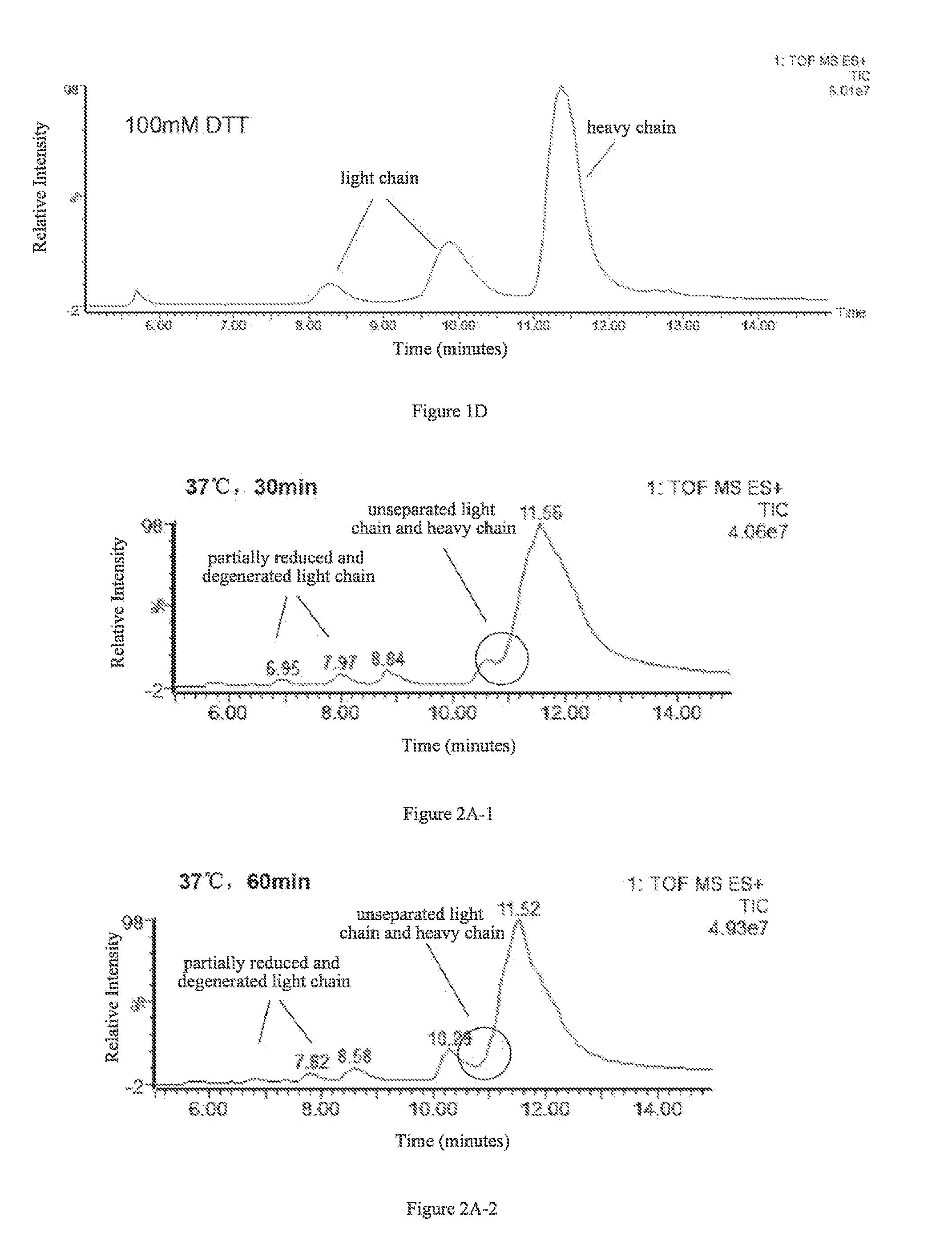 A method for determining glycosylation and terminal modification of samples during protein purification process