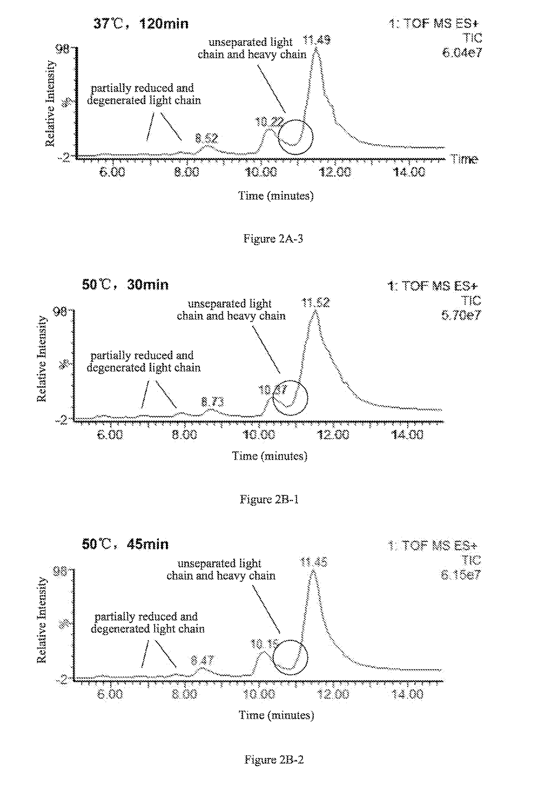 A method for determining glycosylation and terminal modification of samples during protein purification process