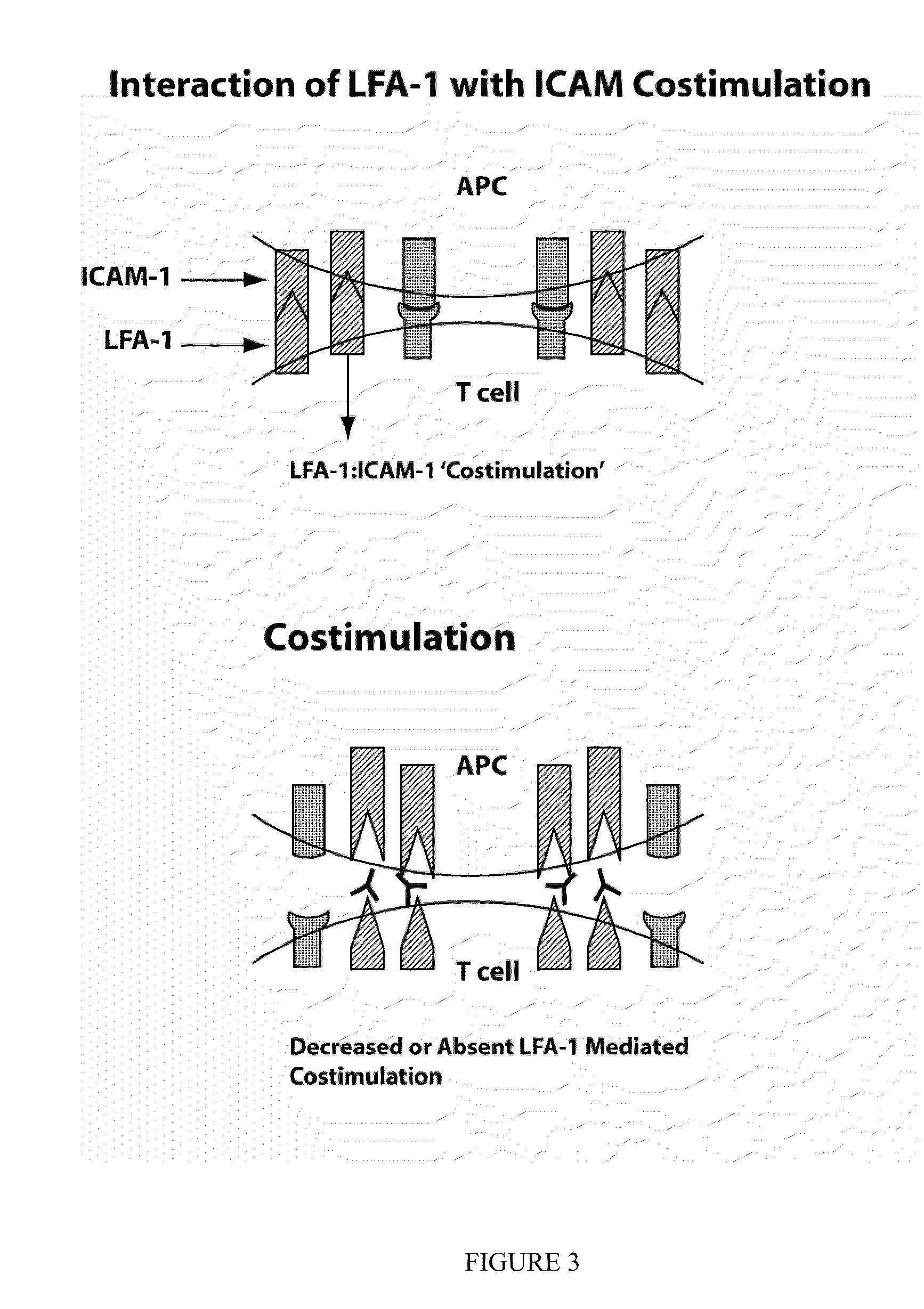 Compositions and methods for treatment of eye disorders