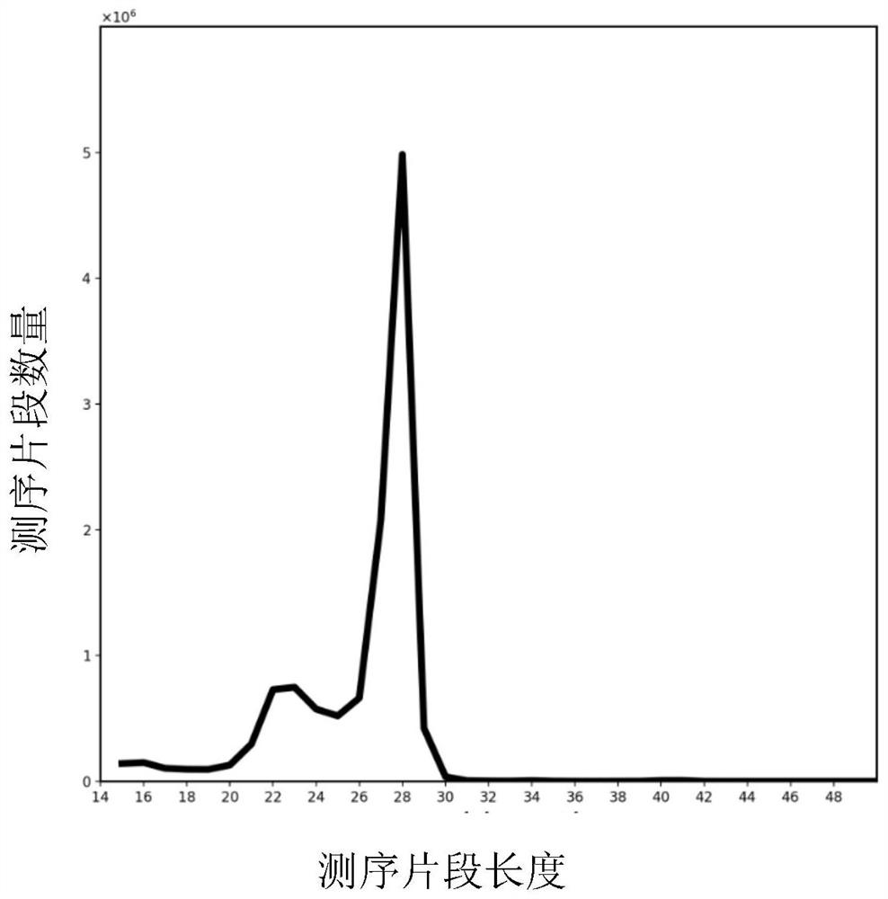 Ribosome print sequencing library construction method