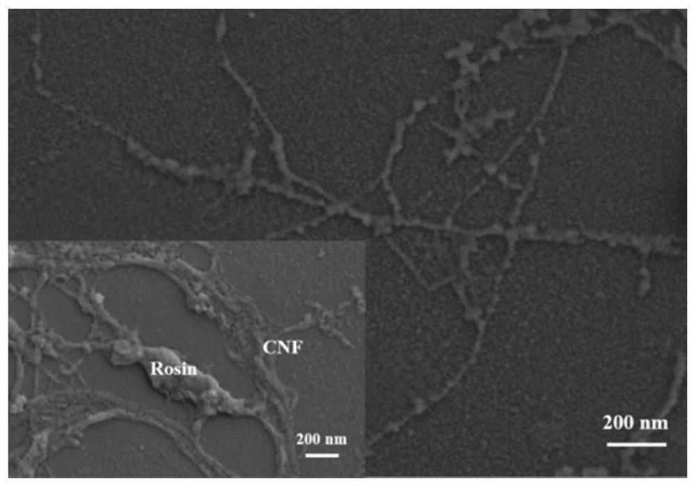 Preparation method of nano cellulose with antibacterial property