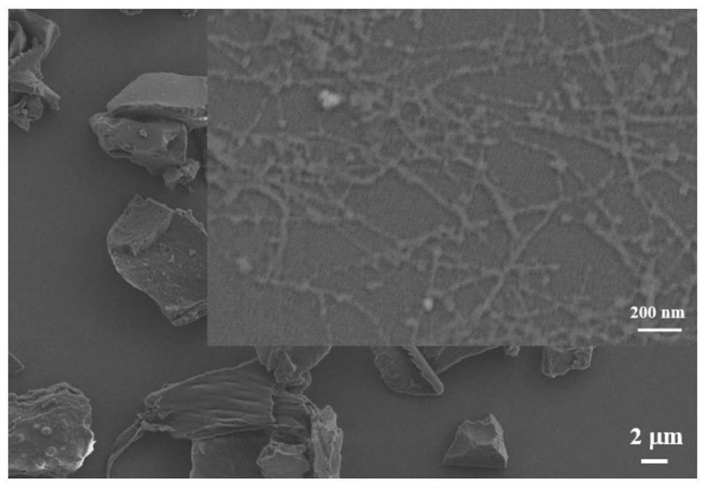 Preparation method of nano cellulose with antibacterial property