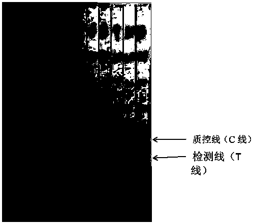 Pioglitazone detection device and application thereof