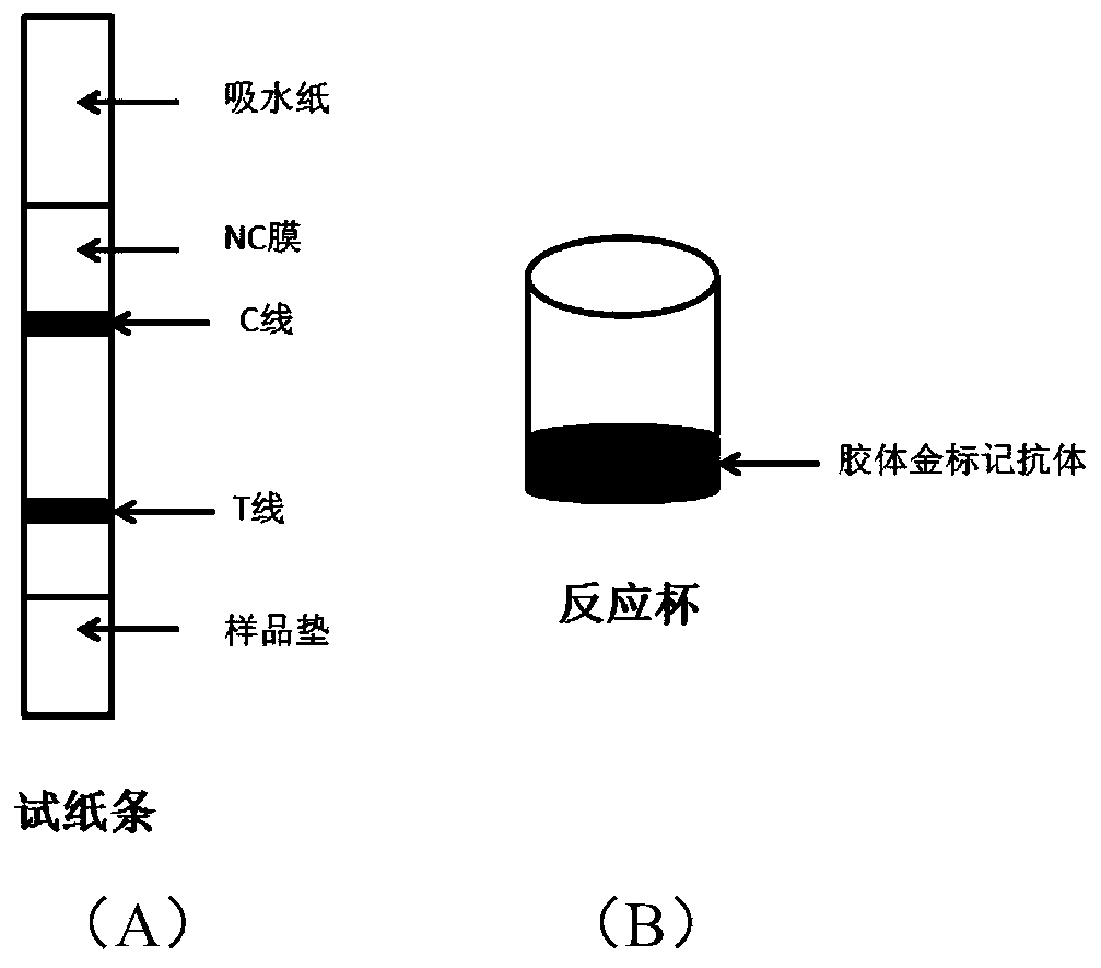 Pioglitazone detection device and application thereof