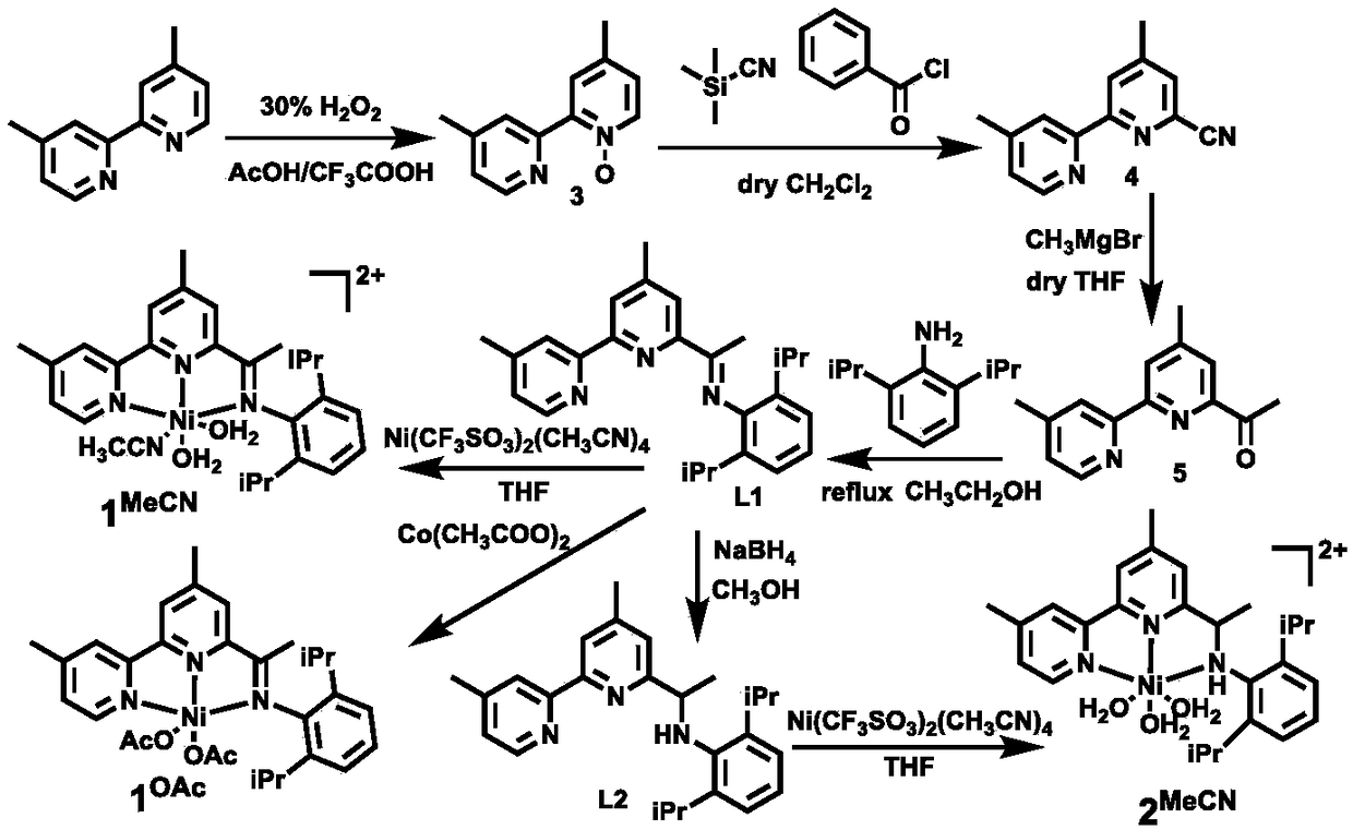 Asymmetric hydronitrogen-pyridine-nickel metal catalyst, and preparation method and application of catalyst