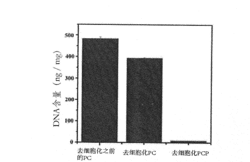 Method for manufacturing a porous three-dimensional support using powder from animal tissue, and porous three-dimensional support manufactured by same