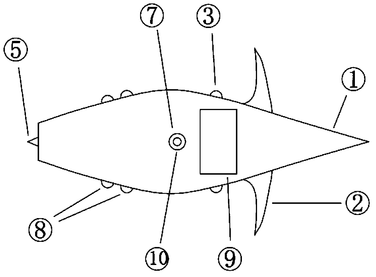 Automatic underwater landform detection device applicable to torrent environment