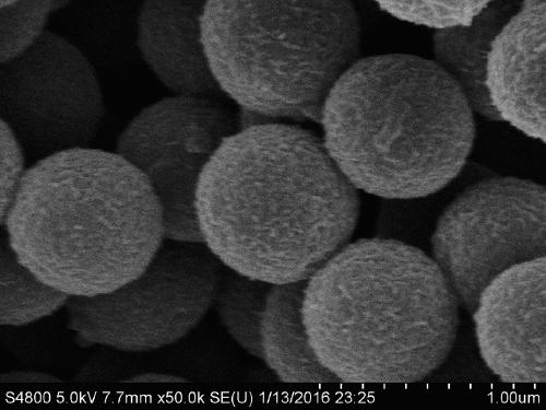 Preparation method and application of a micro-nano structure iron oxide/carbon composite material