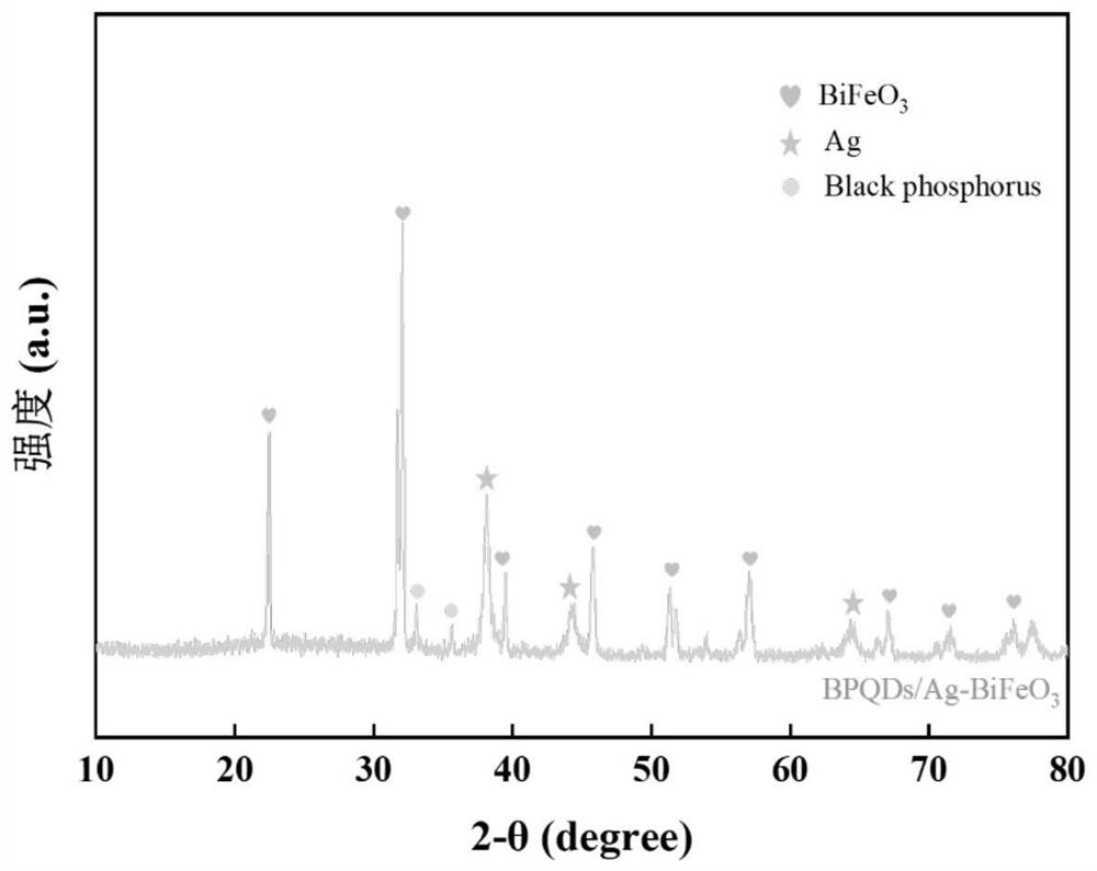 A catalyst for rapidly activating persulfate oxidative degradation of antibiotic wastewater and its preparation and application methods