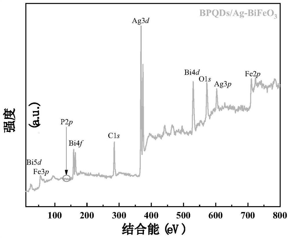 A catalyst for rapidly activating persulfate oxidative degradation of antibiotic wastewater and its preparation and application methods