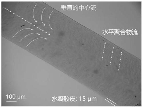 Method for preparing chiral reverse graphene liquid crystal through nanofluid rectification