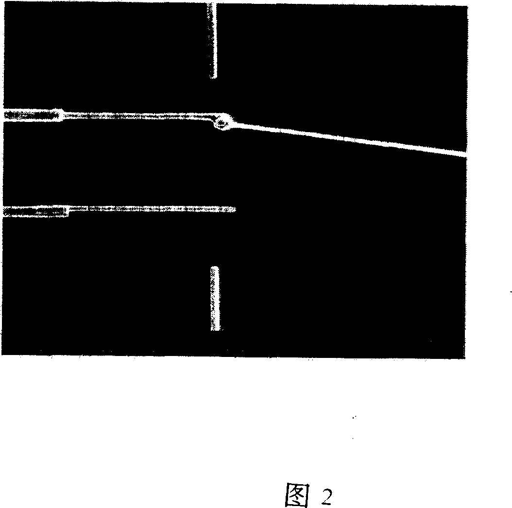 Metal silicide nano-wire and its making method