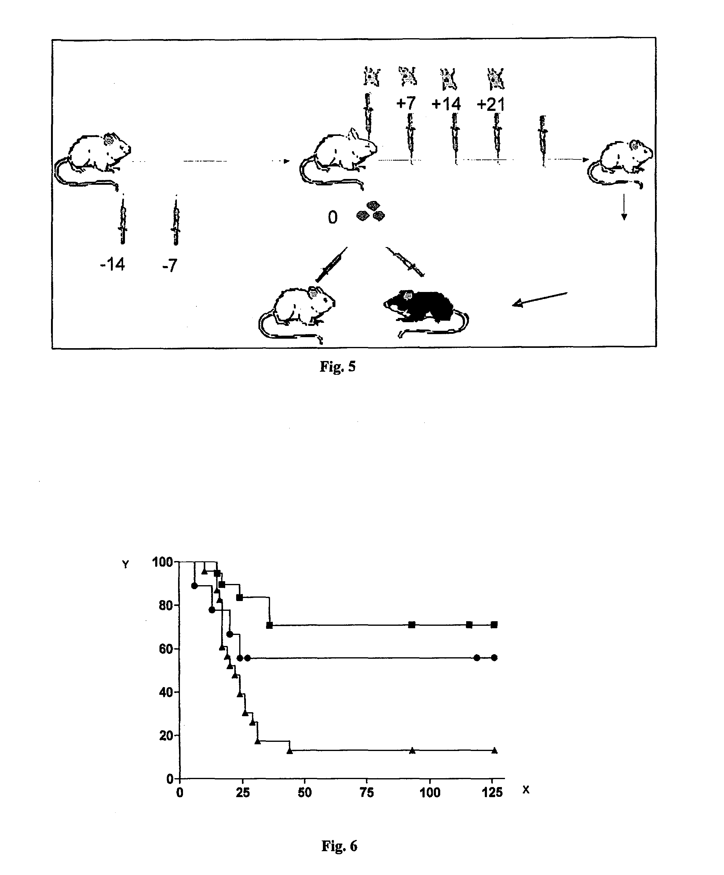 Myeloid-derived suppressor cells generated in vitro