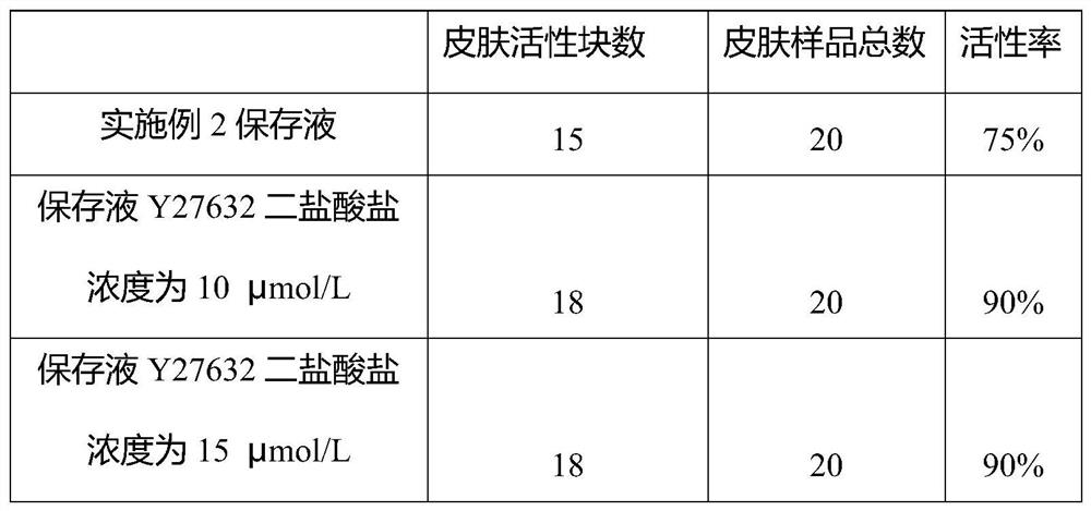 Skin cold storage liquid and application thereof