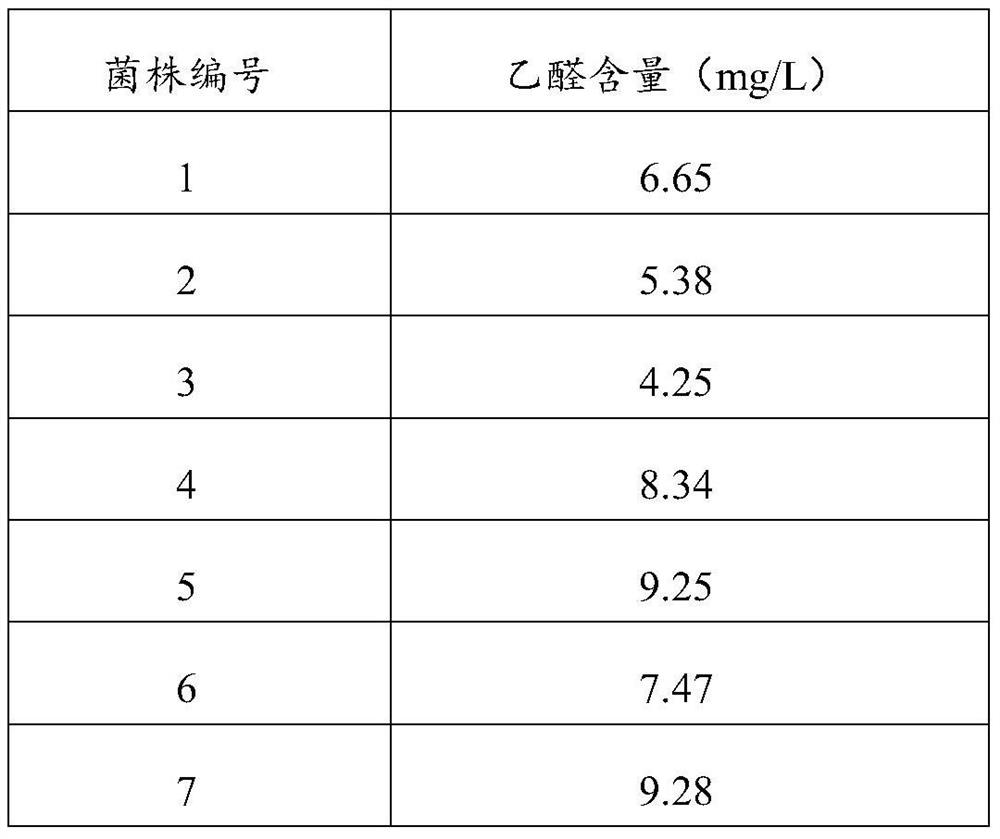 Beer yeast capable of producing beer with low acetaldehyde content, and domestication method of beer yeast