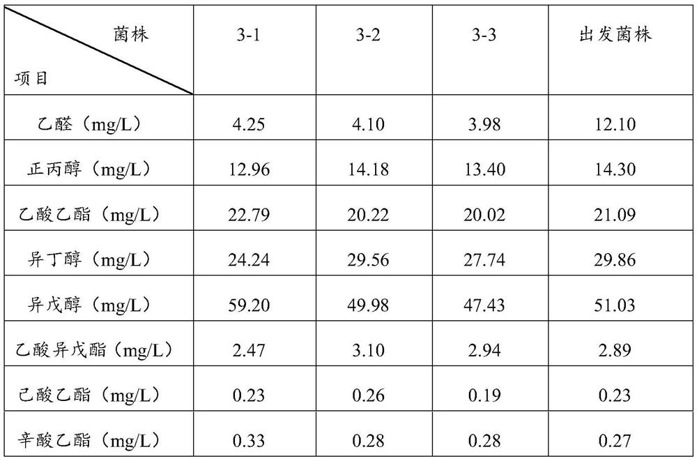 Beer yeast capable of producing beer with low acetaldehyde content, and domestication method of beer yeast