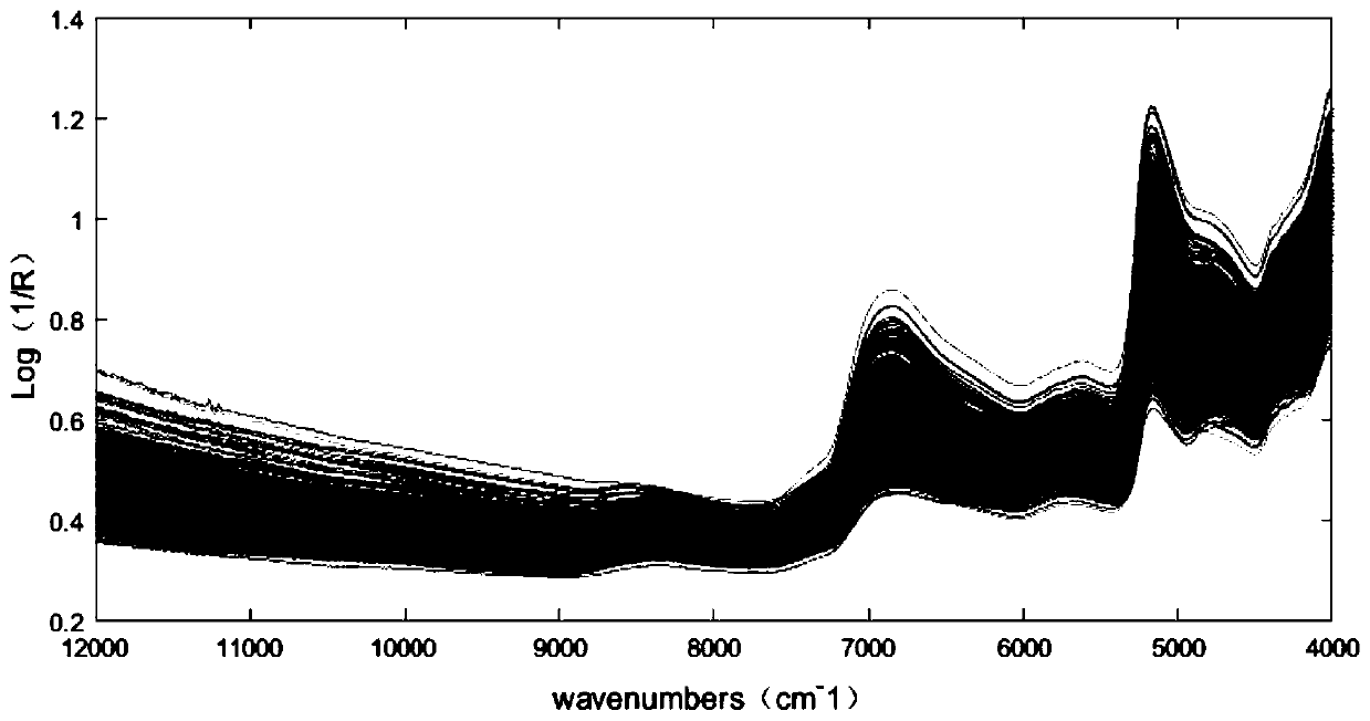 Tobacco leaf mildew rapid identification method based on wavelet transform-random forest algorithm