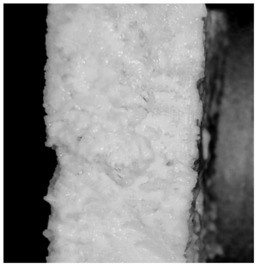 Plant-based artificial meat and preparation method thereof