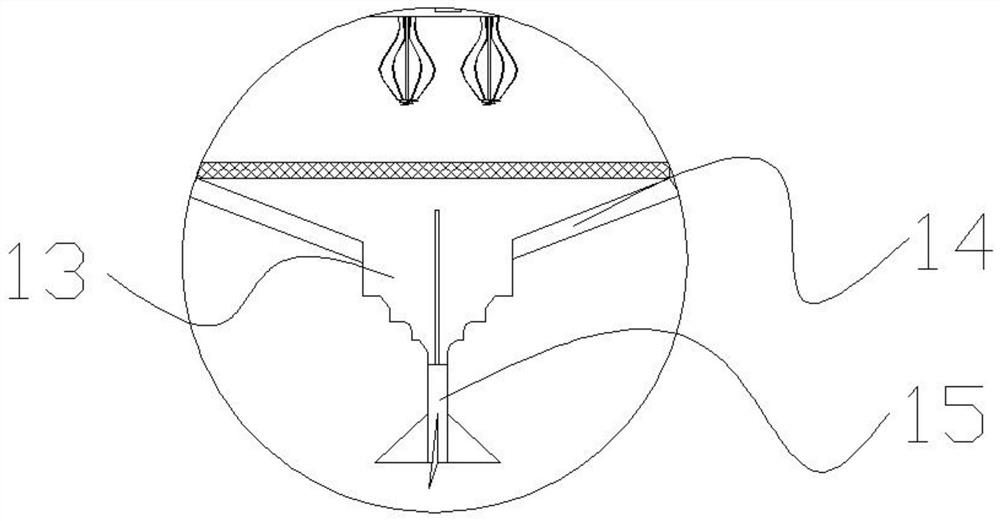 Rabbit feed feeding device