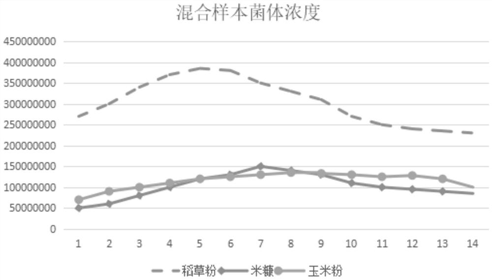 Microbial agent suitable for corn planting, and application thereof