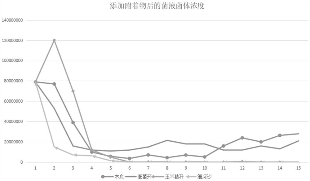 Microbial agent suitable for corn planting, and application thereof