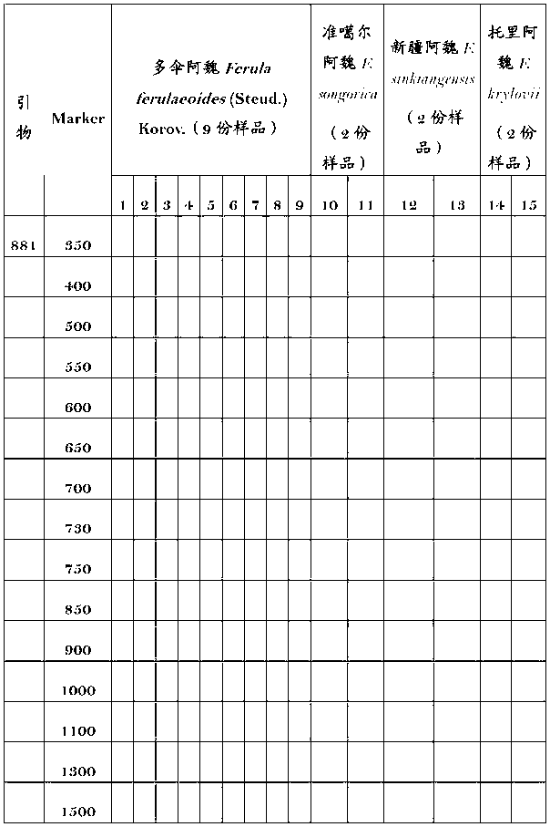 Molecular fingerprint identification method of ferula ferulaeoides and congeneric sibling species