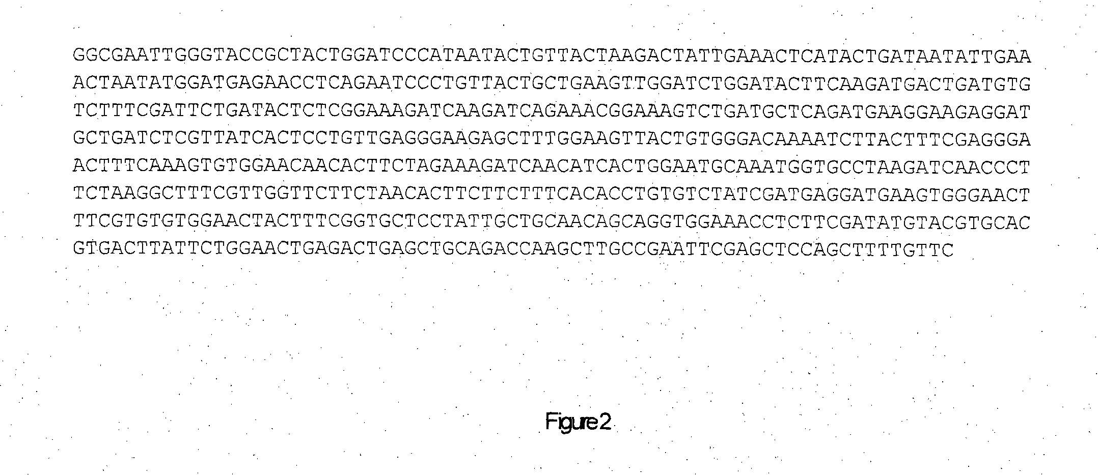 Method for producing bio-active agent for the prevention of disease caused by white spot syndrome baculovirus complex and a bio-active agent derived thereof