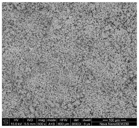 Method for preparing SiC whisker and C-AlPO4 powder synergistic modification mullite coating