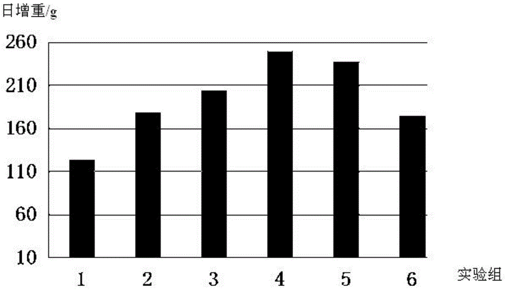 Preparation method for small peptide protein of sardine