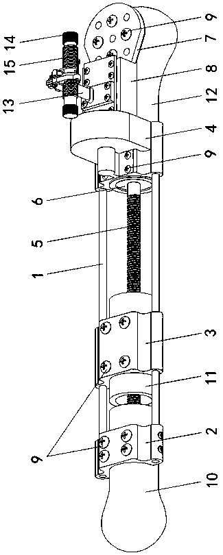 Novel intramedullarily and extramedullarily bound bone lengthening device adopting rope wheel