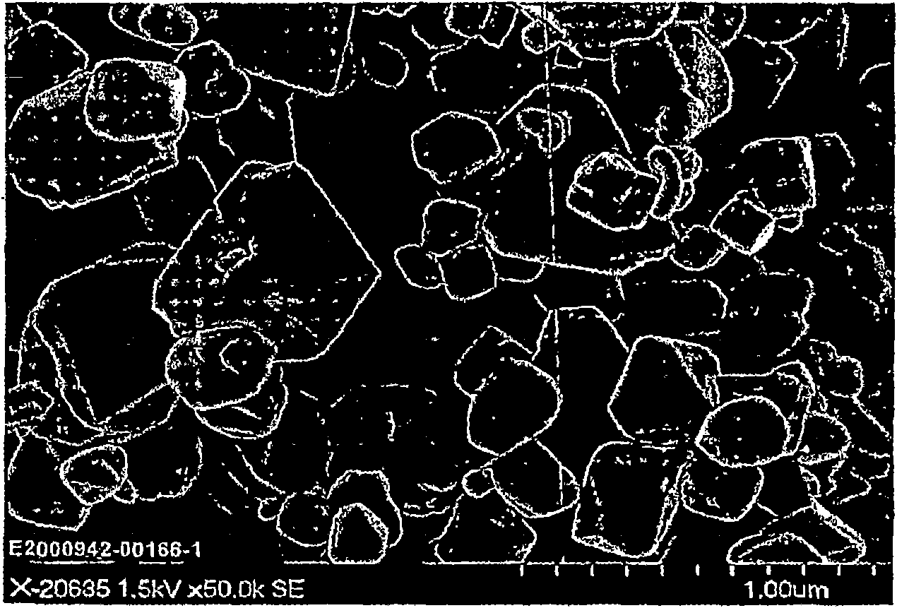 Processes for the hydrothermal production of titanium dioxide