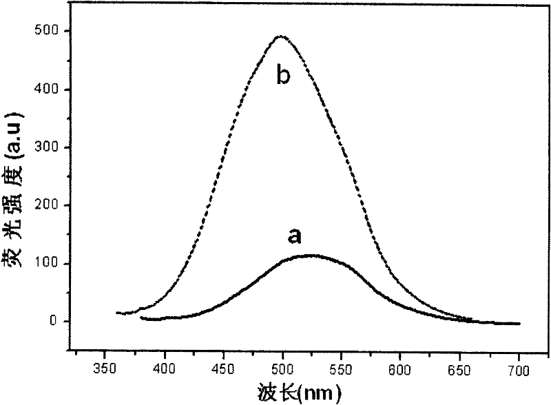 Surface-modified ZnO quantum dot and preparation method thereof