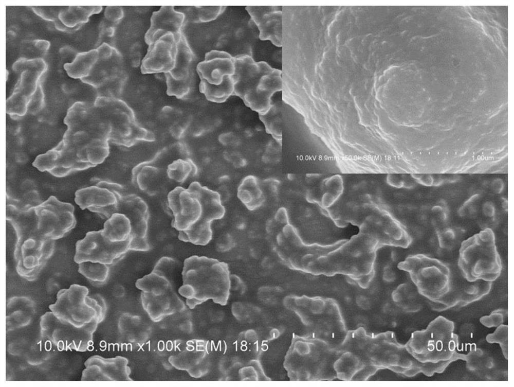 High-robustness lotus-leaf-imitating structure super-hydrophobic coating as well as preparation method and application thereof