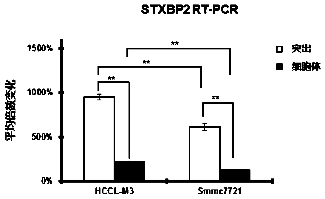 Liver cancer early diagnosis reagent or kit and application