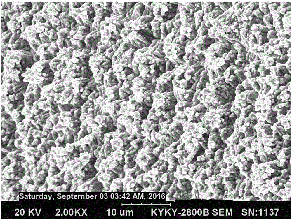 Surface treatment composite additive capable of improving corrosion resistance of copper foil