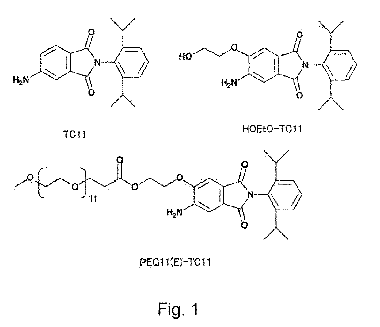 Modified phenylphthalimide and pharmaceutical composition having same as active ingredient