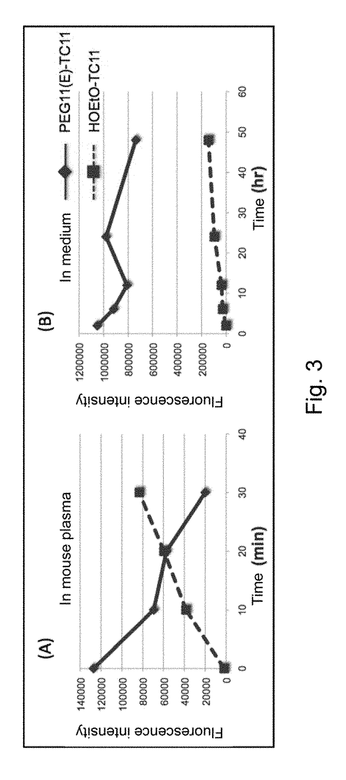 Modified phenylphthalimide and pharmaceutical composition having same as active ingredient