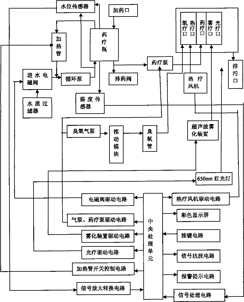 Medical crissum therapeutic apparatus