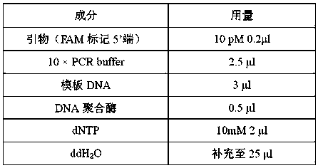 Molecular marker, primers and probes for identification of lotus leaf pleura