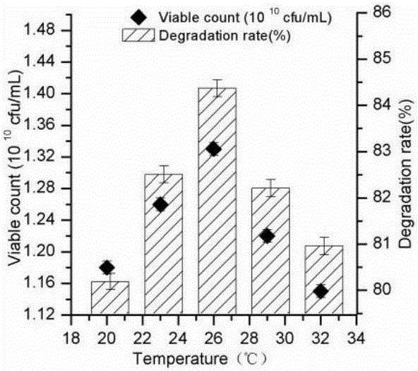 Complex microbial inoculant capable of efficiently degrading chlorimuron-ethyl and application thereof