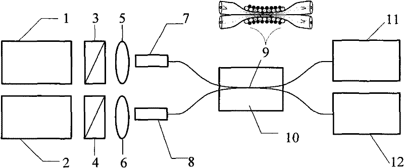 Surface-enhanced raman scattering sensor detector based on optical fiber fuse-tapered coupler