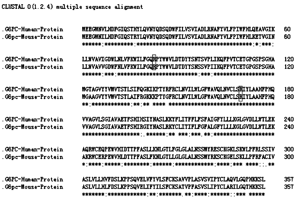 SgRNA targeting sequence specifically targeting mouse G6pc gene and application thereof