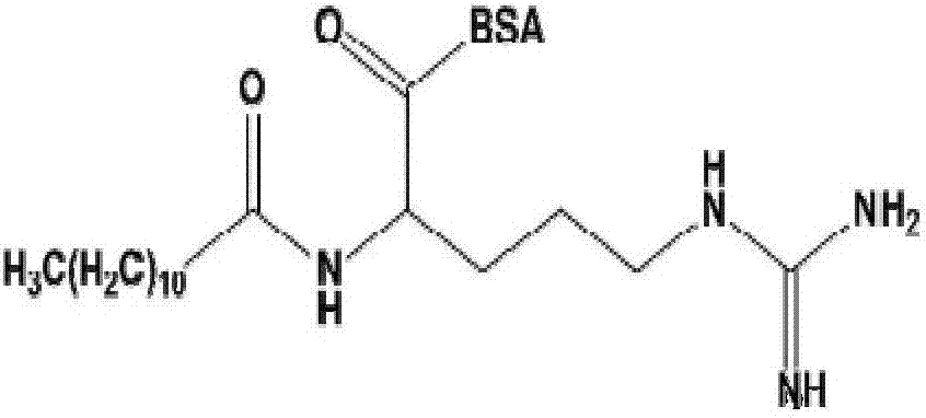 L-lauramide arginine monohydrochloride ethanol ester artificial antigen and specific antibody as well as preparation method and application thereof